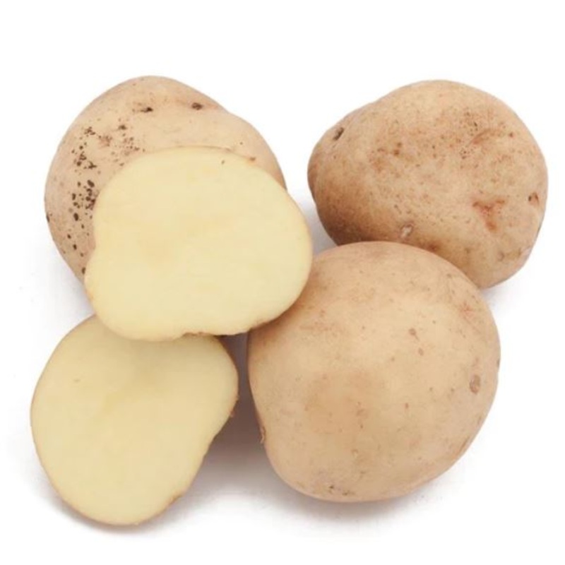 Yukon Gold Potato – Certified|Yukon Gold Potato